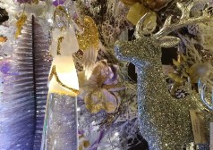 IMG_20181005_074229199