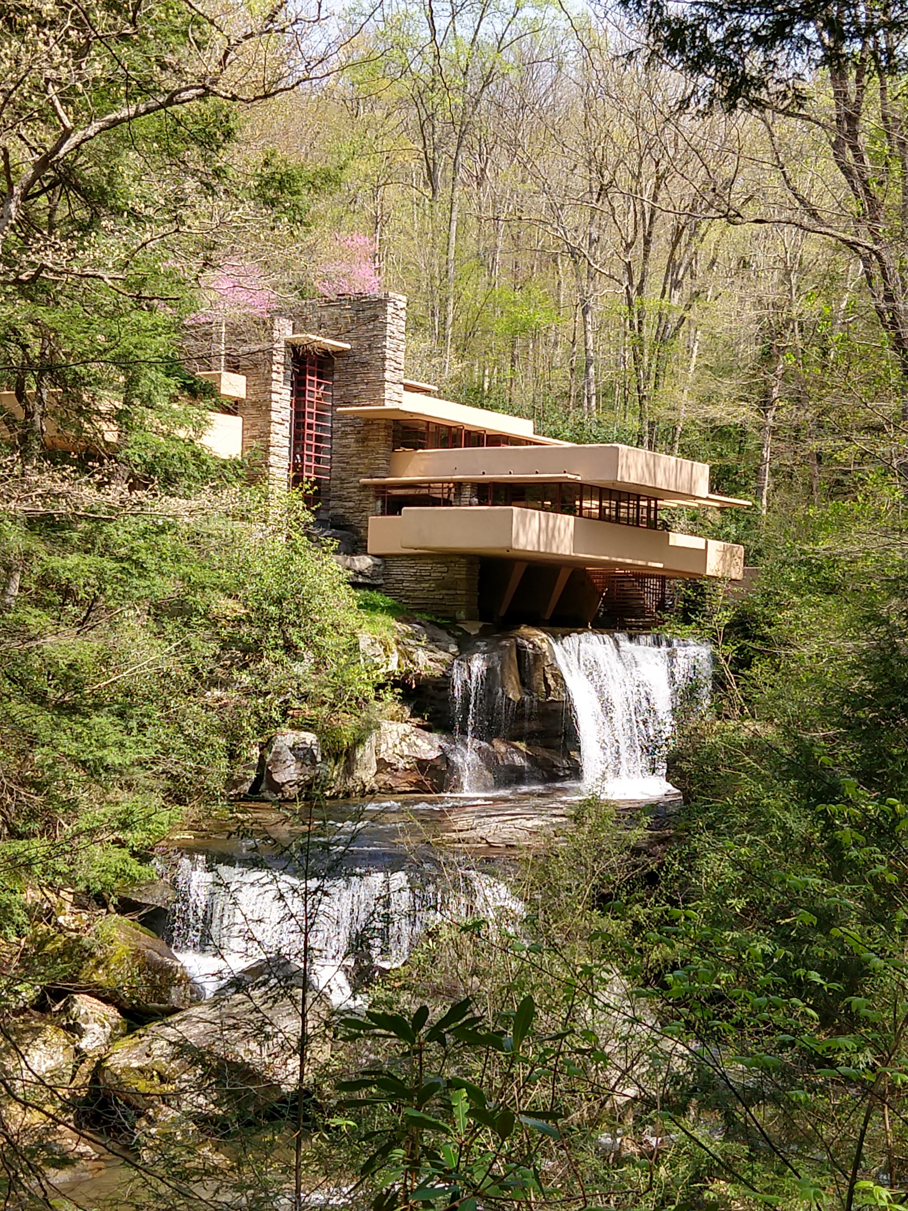 Authentic Project Ideas – Fallingwater – The Educational Journey