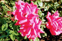 IMG_20190829_095426350_HDR