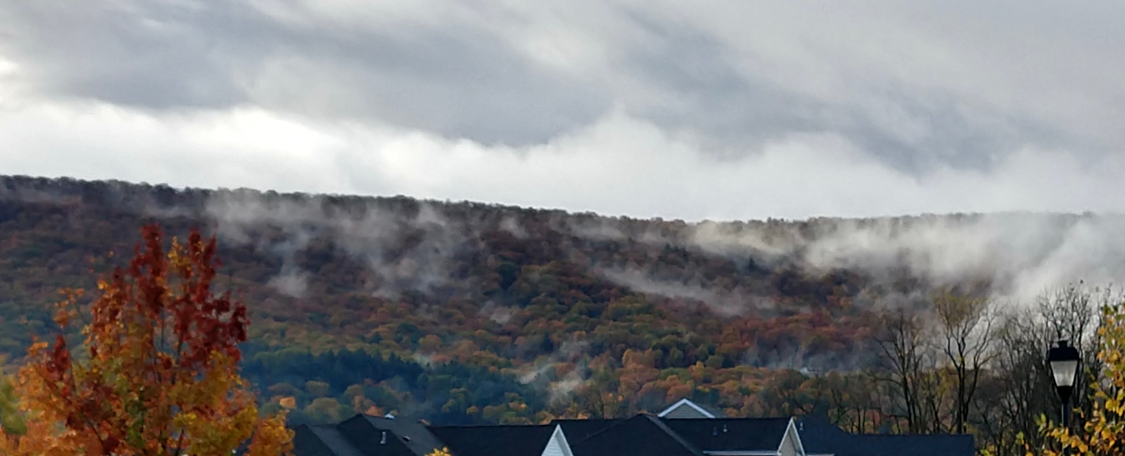 IMG_20191027_094923346_HDR