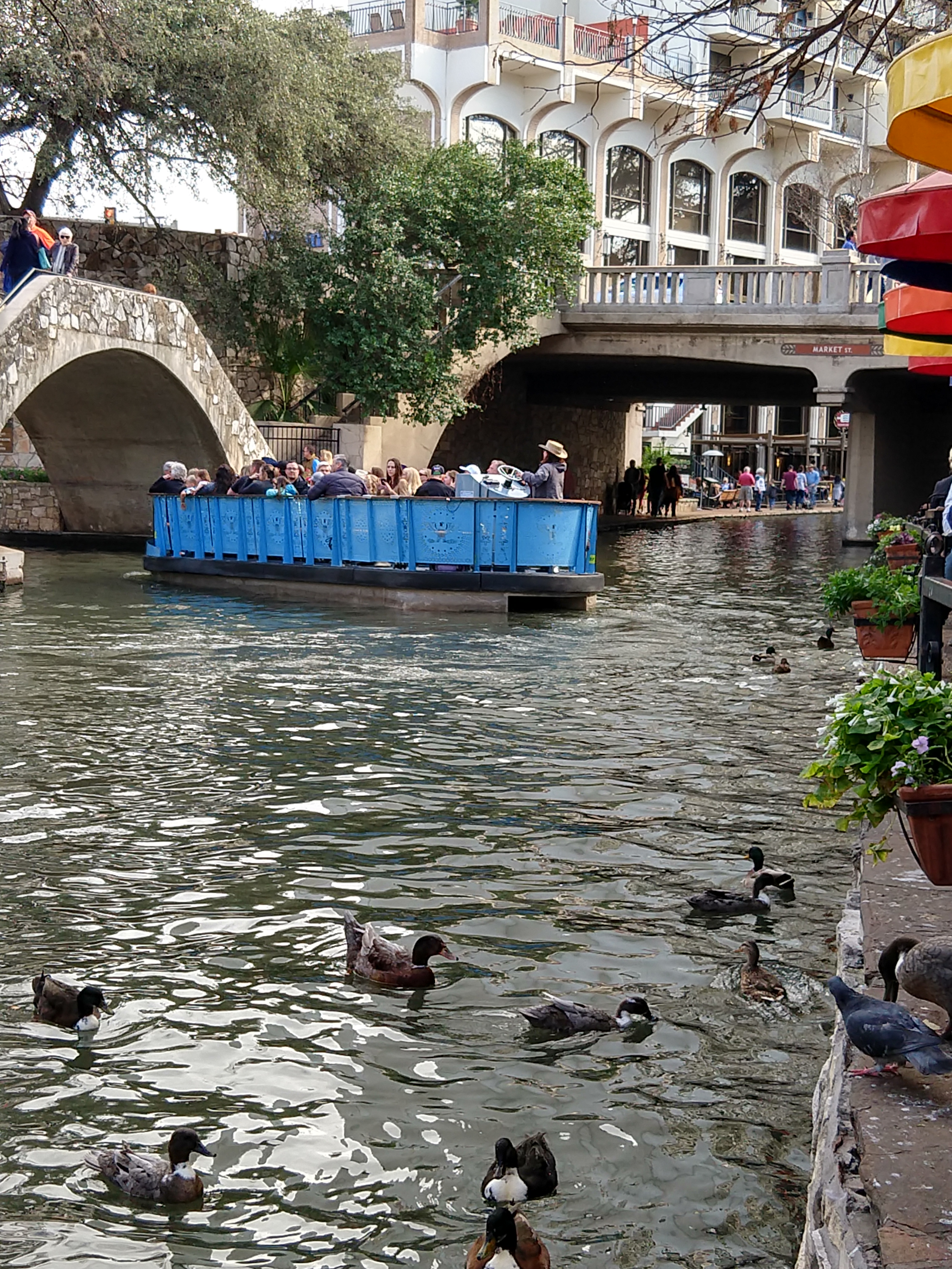 IMG_20200208_154057860_HDR